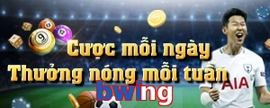 bwing